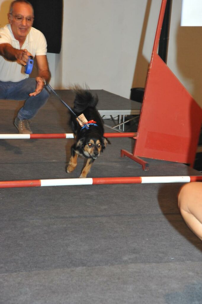 l'addestratore Armando Piazza con Alex