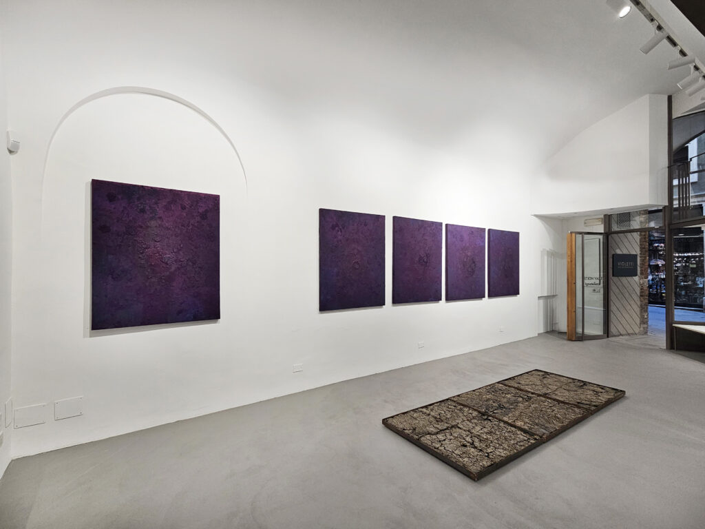 Eltjon Valle - IgnoteTerre - Violetti Arte Contemporanea - Installation View
