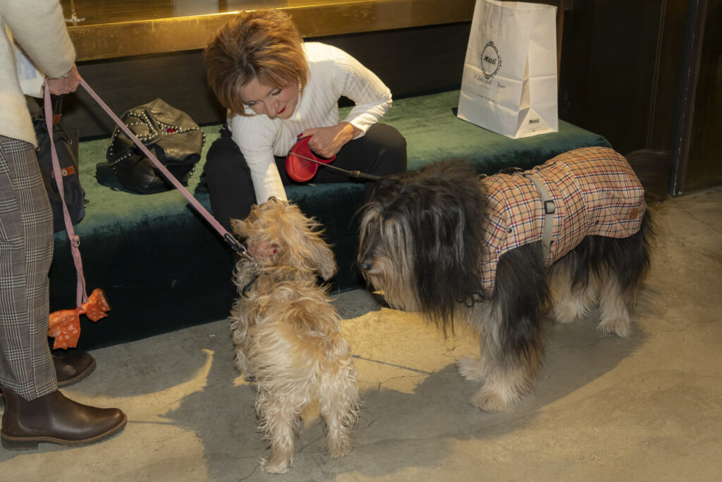 Vip - Very Important Pet