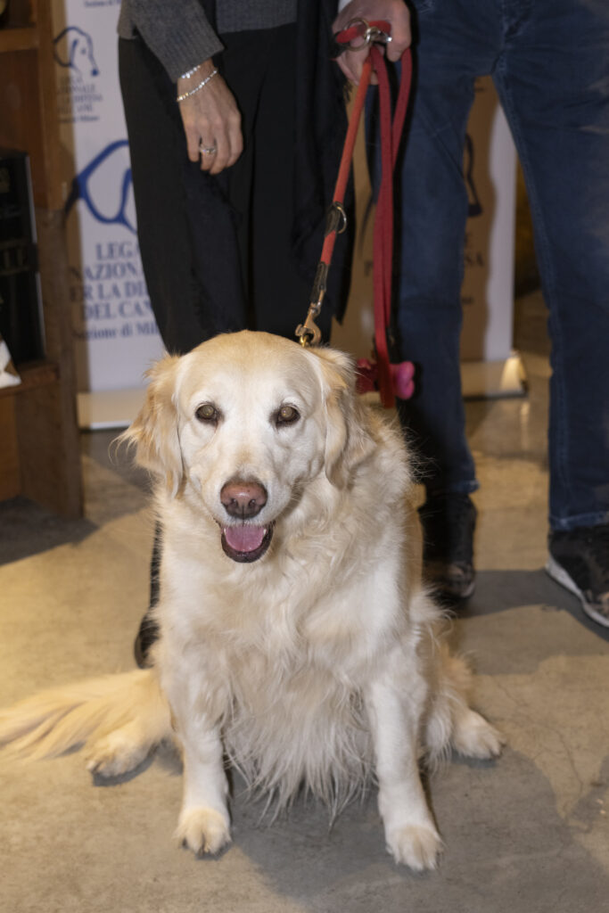 VIP - Very Important Pet