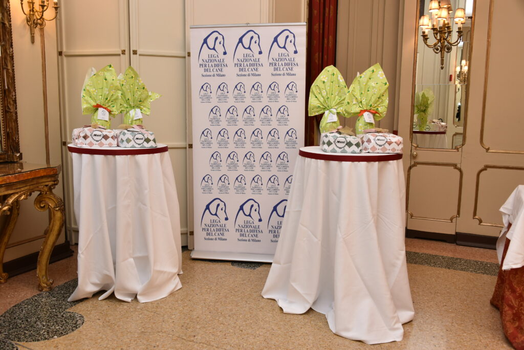 Backwall foto LNDC-MI